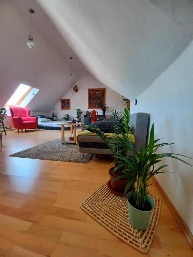 Artist Apartment Banská Bystrica Buitenkant foto